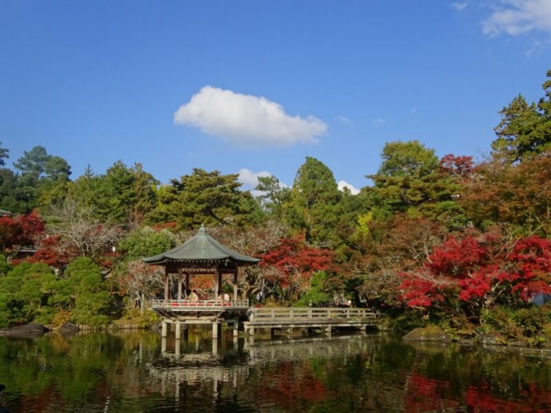 秋の成田山の龍智池と浮御堂