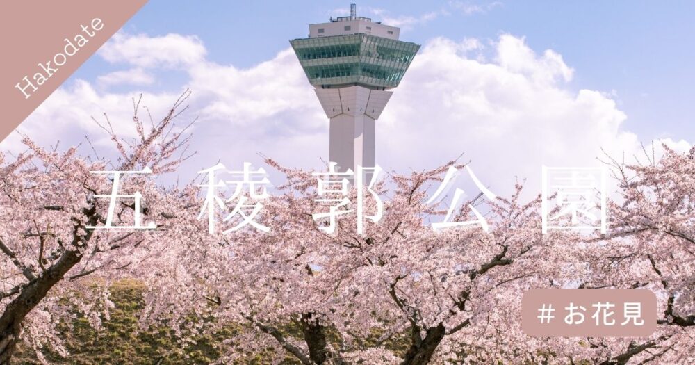 函館五稜郭公園の桜の見頃は
